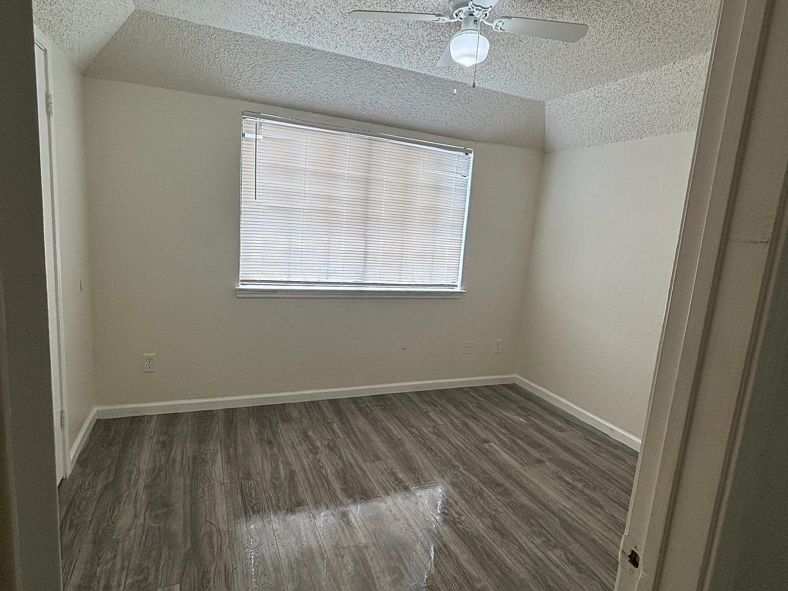 1 bed, 450 sqft, $950 — Photo 4