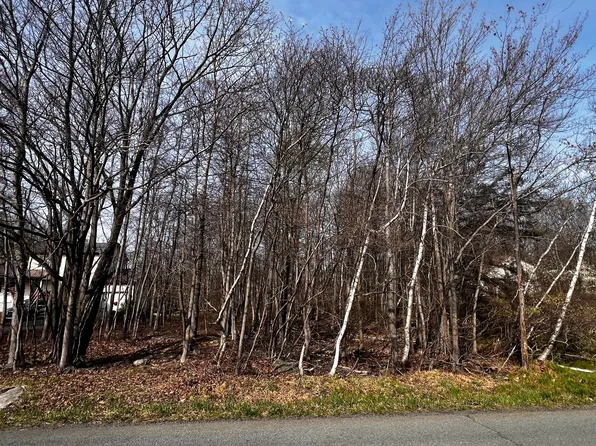 LOT 5420 Clearview Dr, Long Pond, PA 18334