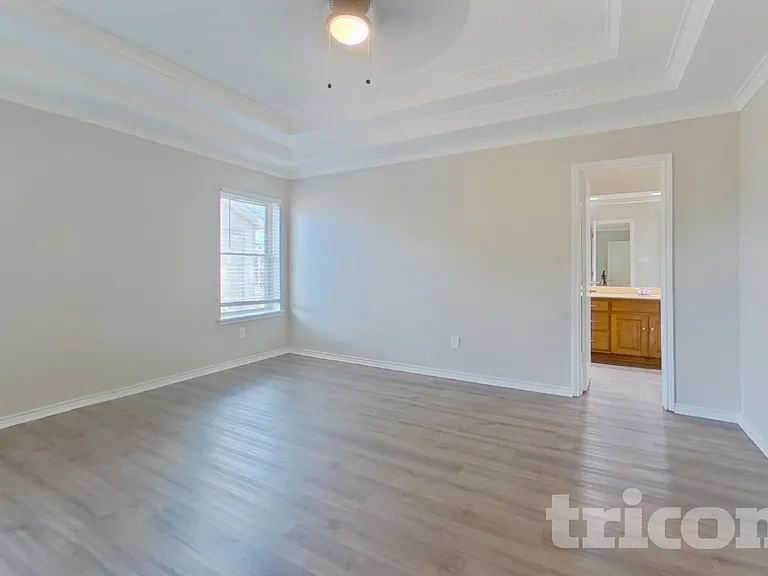 509 Live Oak Dr — Photo 7