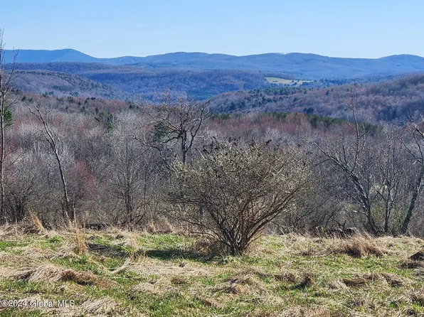 L2 Lang Road, Summit, NY 12175