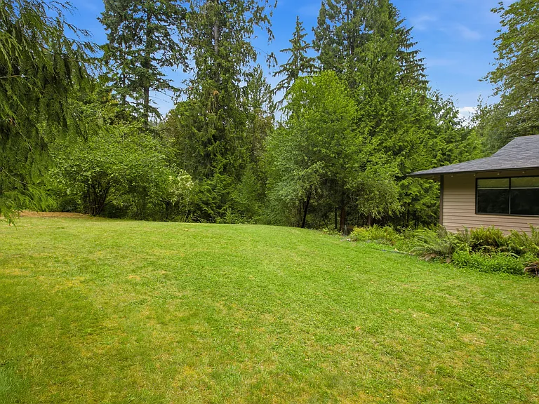 Open area yard space...chickens or a raised bed for veggies?