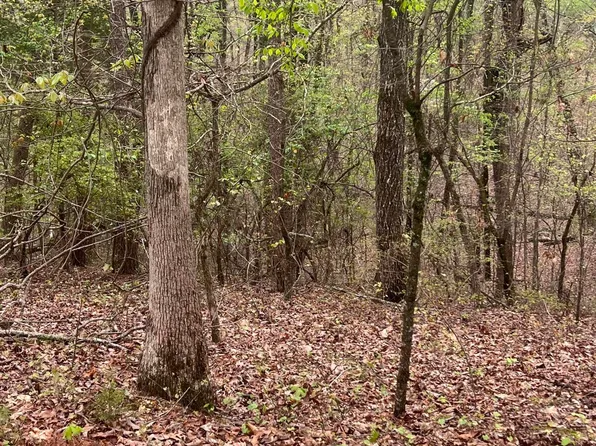 11734 Armstrong Rd, Soddy Daisy, TN 37379