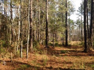 0 Highway 165, Ravenel, SC 29470