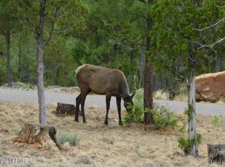 3822 Durango Dr, Happy Jack, AZ 86024