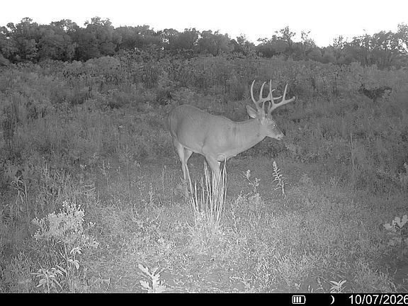 5th image of 8210 N Traders Bend Rd