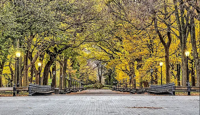 Rented by Vector New York, LLC | media 7