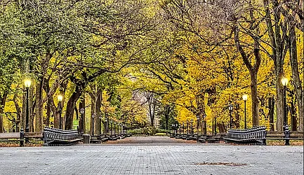 Rented by Vector New York, LLC