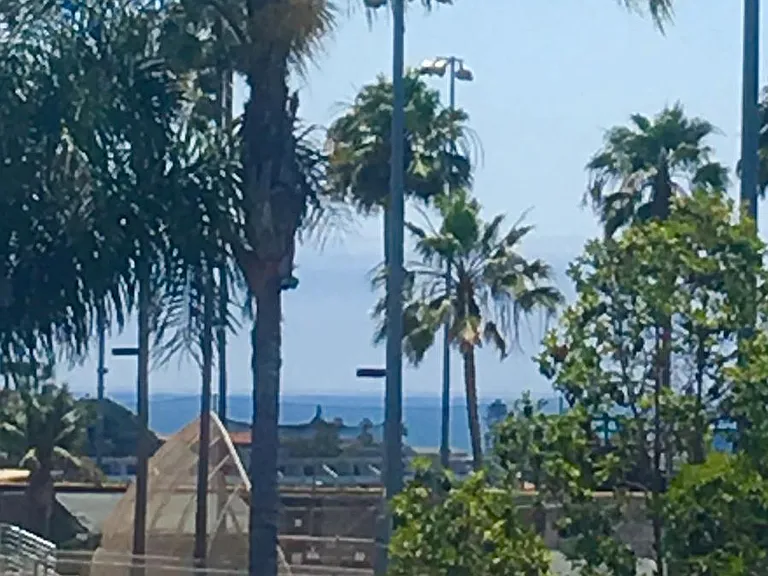 View from master bedroom window