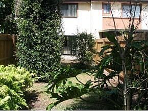 Back courtyard