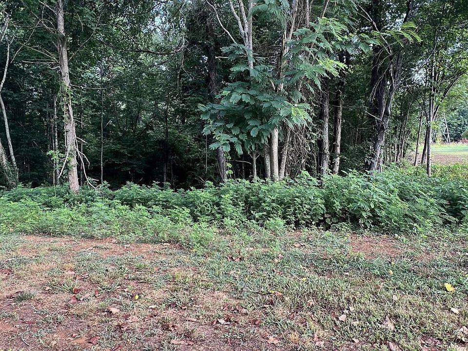 1st image of 581 Canyon Springs Dr