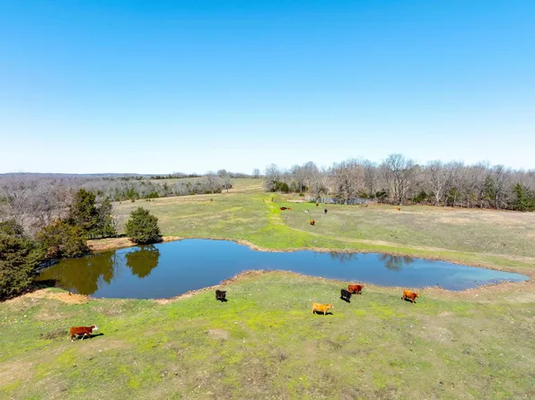 232 Cr, Henderson, AR 72544