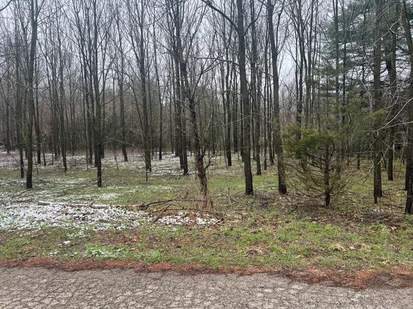 Drew St, Paw Paw, MI 49079