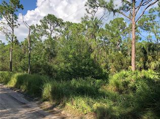 1128 Wright St, Labelle, FL 33935