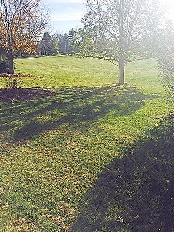2nd image of 5908 Wild Plum Rd