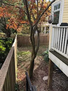 8415 Lynbrook Dr — Photo 21