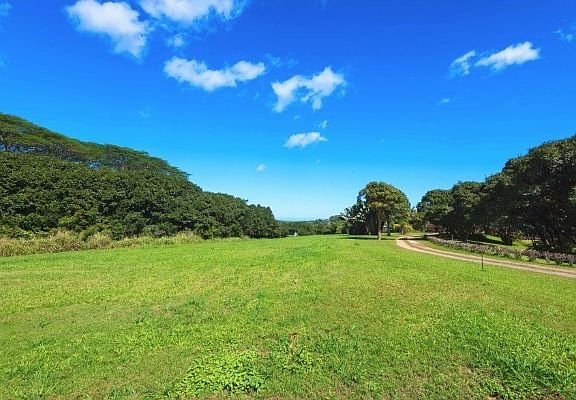 5th image of 6040 Kahiliholo Rd Lot 9-A