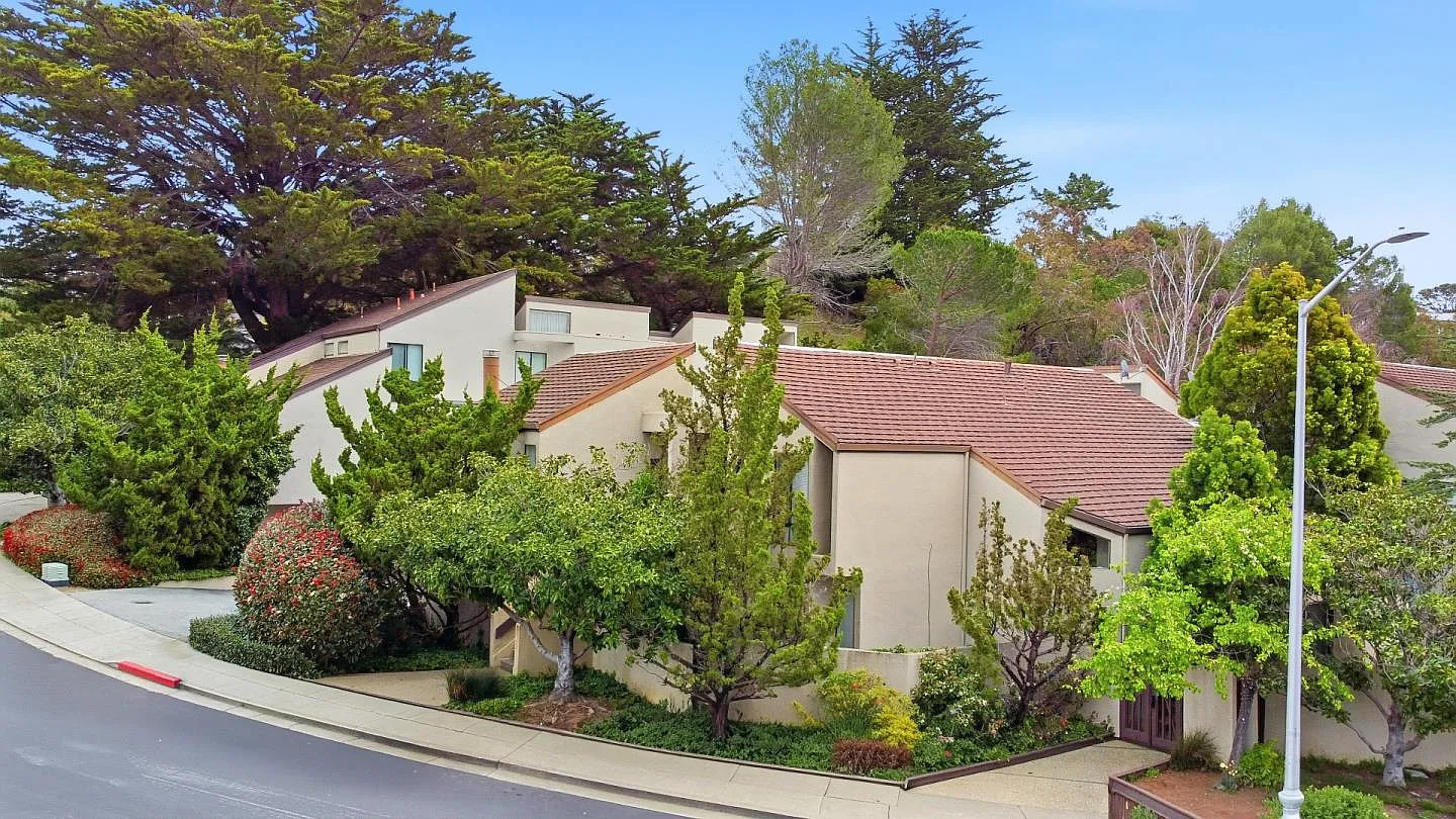 Parrott Sanmateo photo 1