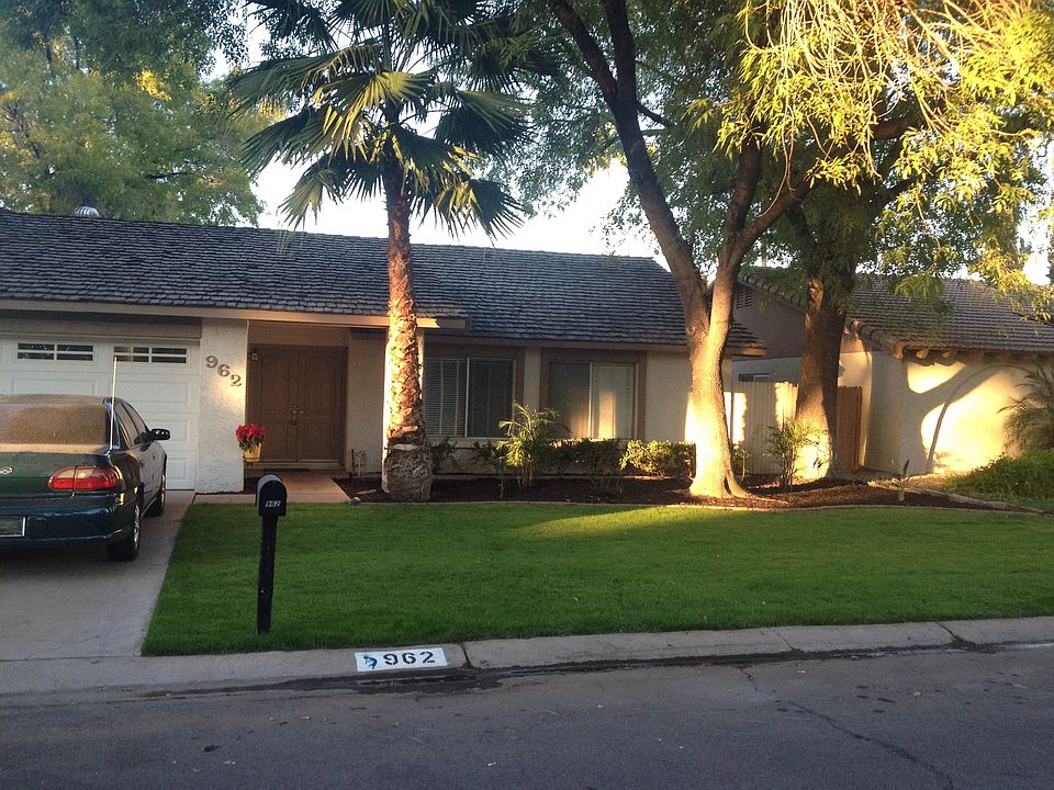 Front Yard 3