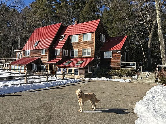 The house and our dog.