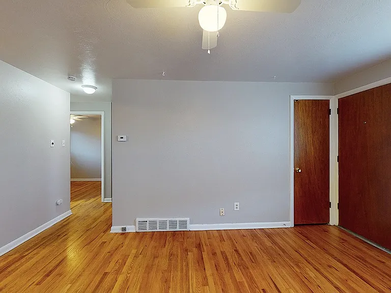 Jellison — Photo 12
