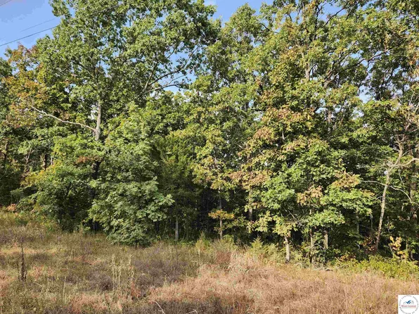 Hiawatha Dr, Stover, MO 65078