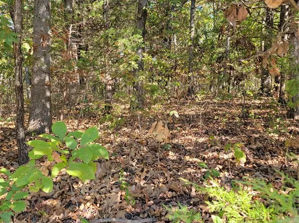 0 Trenton Dr, De Soto, MO 63020