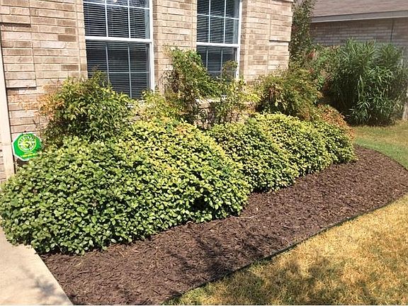 Although lthe shrubbery is well taken care of, there's still room for your personal additions to the