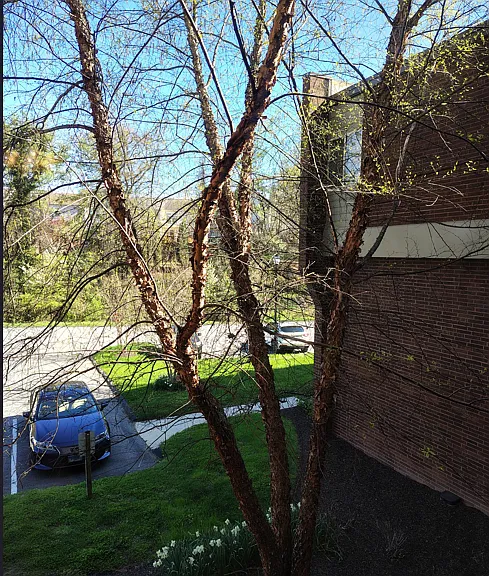 Residences at Pomona Park — Photo 43