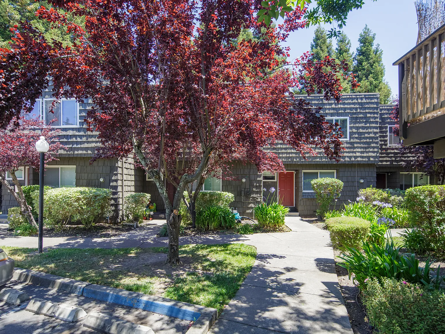 Cedarwood Apartments — Photo 4