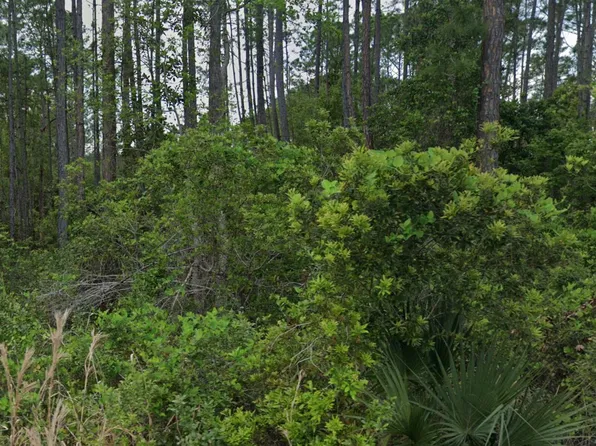 00 Glenside Street, Georgetown, FL 32139