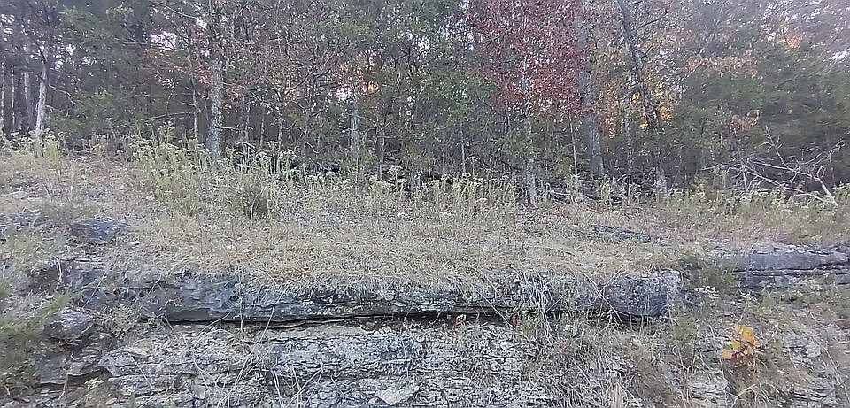 1st image of 0 Oak Point Dr #114