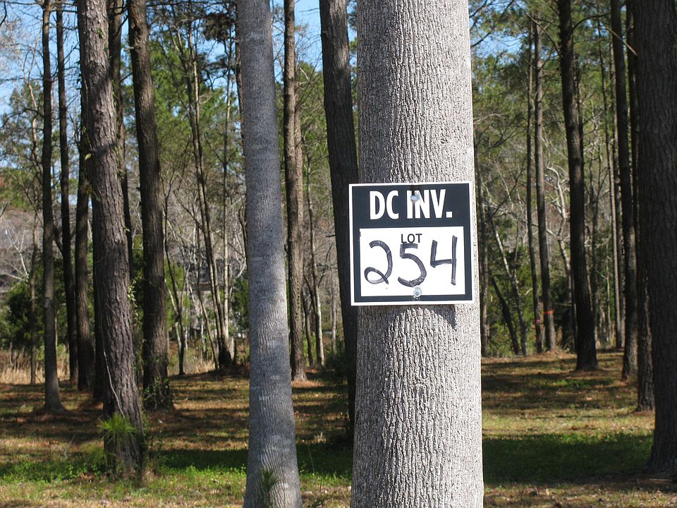 Lot 254