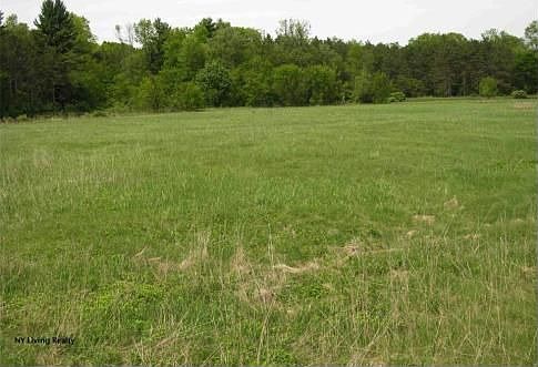 41 Acres Along the Boquet River