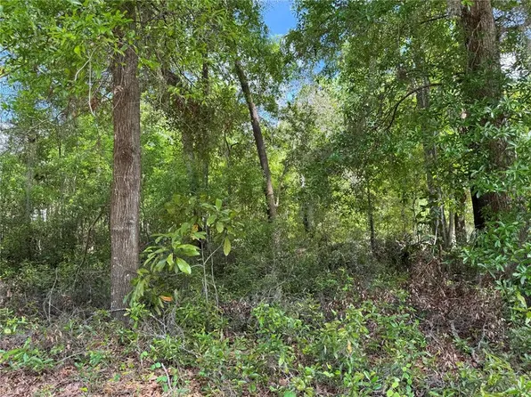 SW Clearwater Ct Lot 24, Dunnellon, FL 34431