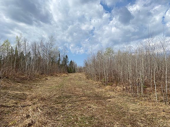 3rd image of Near Wilson Lake Rd