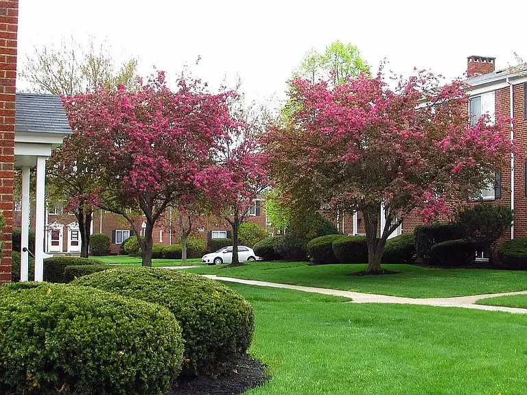 Lawn Village — Photo 4