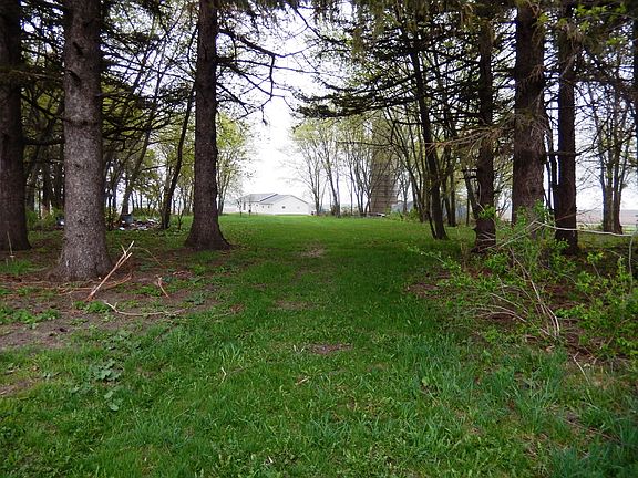 Established trees