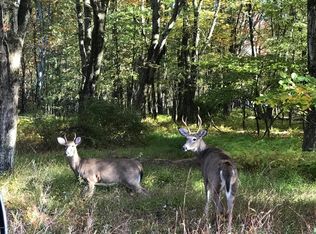 A1001 Wintergreen Trail & Long Brook Way, Albrightsville, PA 18210