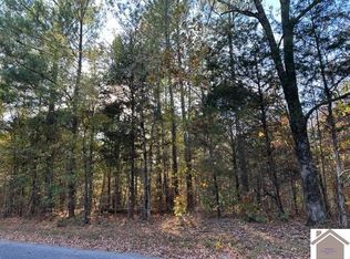 0 Paddle Ln, New Concord, KY 42076