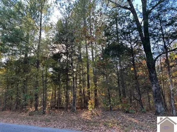 0 Paddle Ln, New Concord, KY 42076