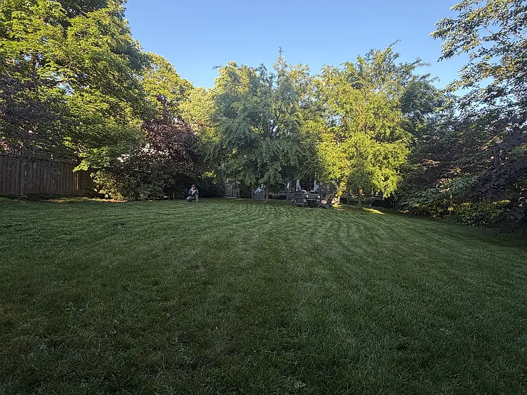 From back of backyard facing towards house