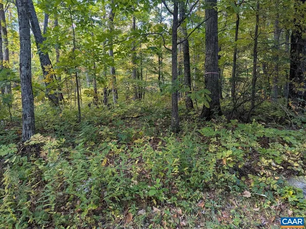 141 Gumtree Dr, Roseland, VA 22967