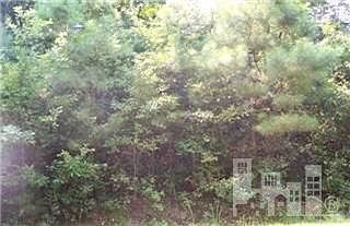 1st image of 0 S McNeil Street