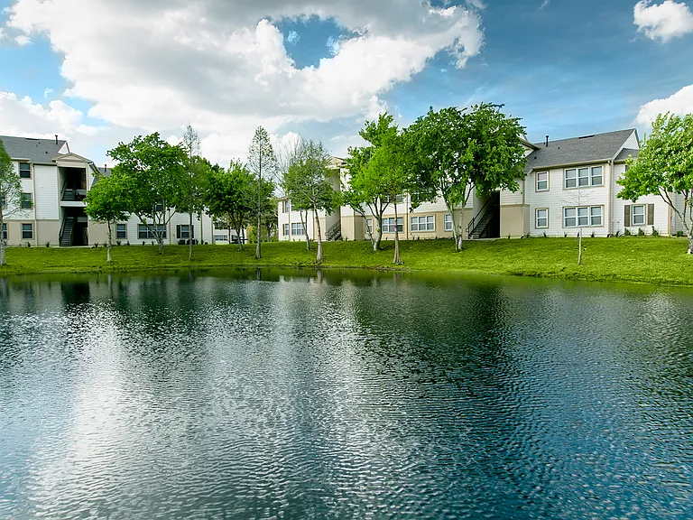 Lake view
