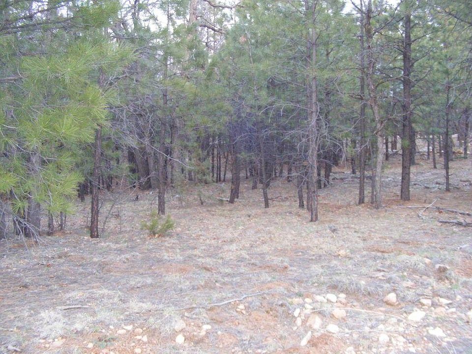 2nd image of 2285 Pine Canyon Dr