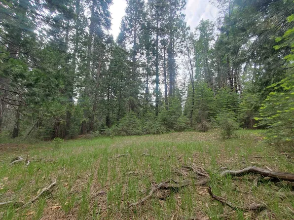 3-I-2 Red Fir Rd, McCloud, CA 96057