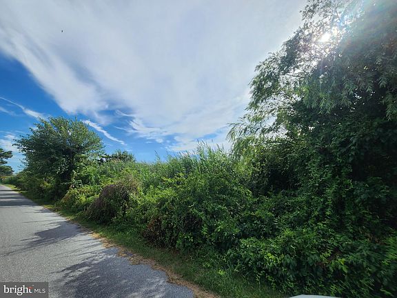 4th image of 48 N Bay Dr