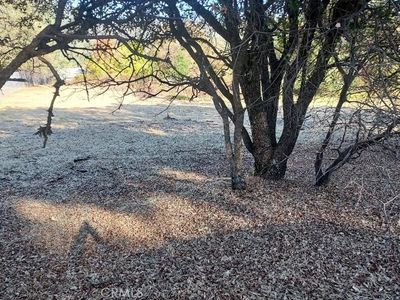 494 Kelly Ridge Rd, Oroville, CA, 95966