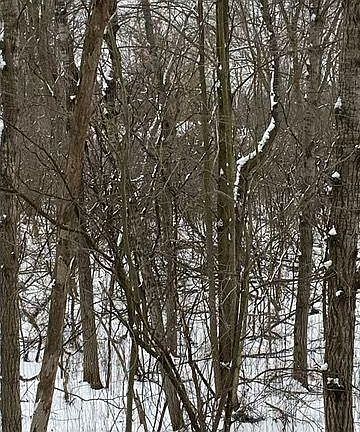 3rd image of 1135 N Baldwin Rd