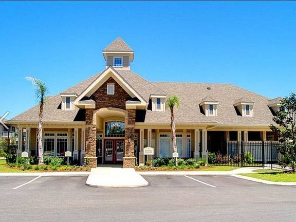 Longleaf Pines 1